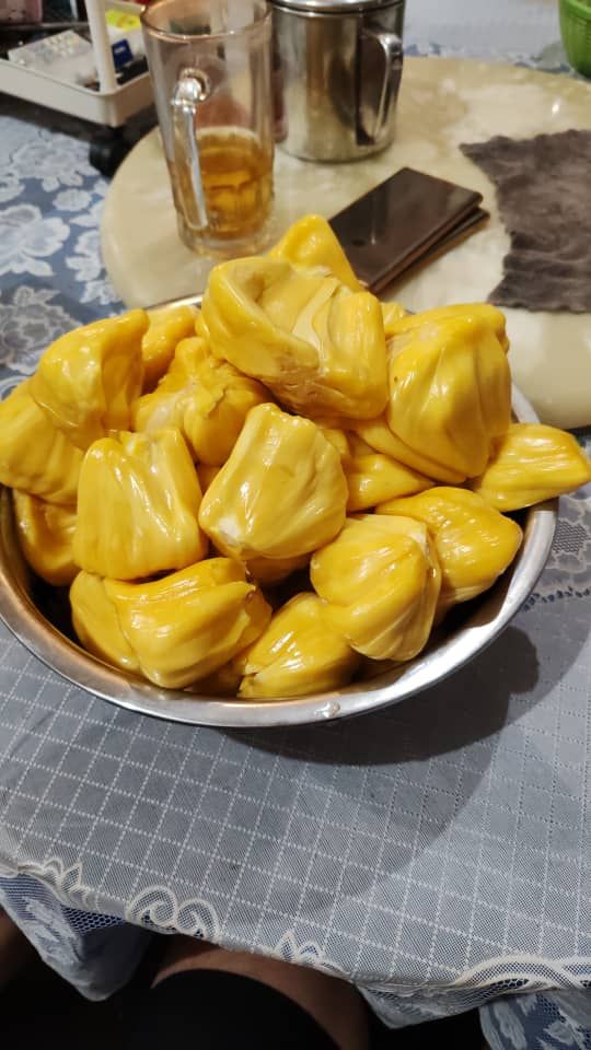 Jackfruit fresh from my uncle's tree